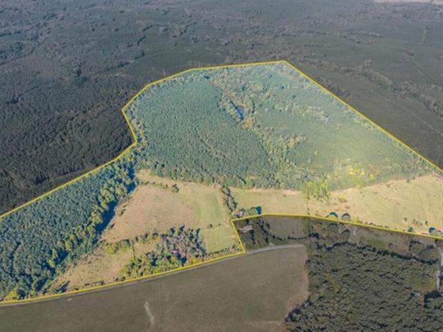 Farm for sale in Brookneal, Campbell County