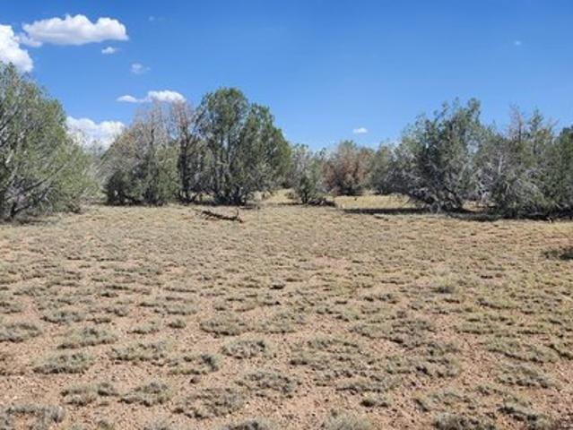 Land for sale in Ash Fork, Arizona