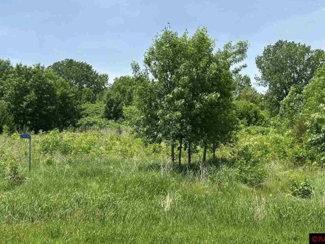Land for sale in Madison Lake, Minnesota