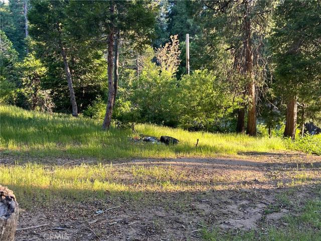 Land for sale in Cedar Glen