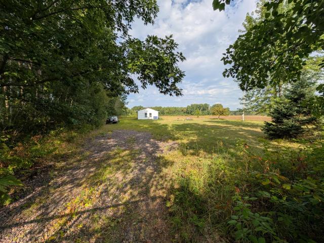 Land for sale in Munch Township, Pine County