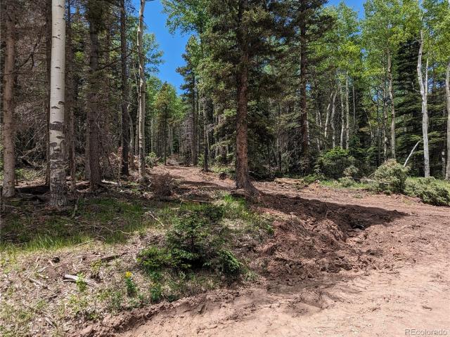 Land for sale in Fort Garland, Colorado