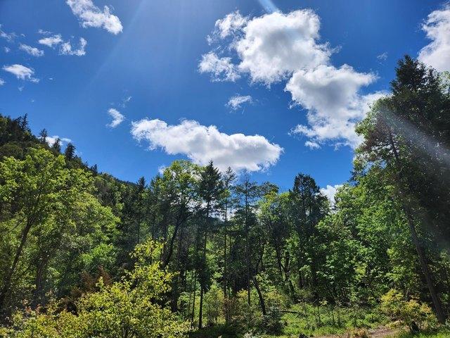 Land for sale in Oregonia