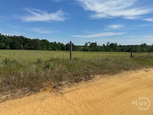 Land for sale in Bartow, Georgia