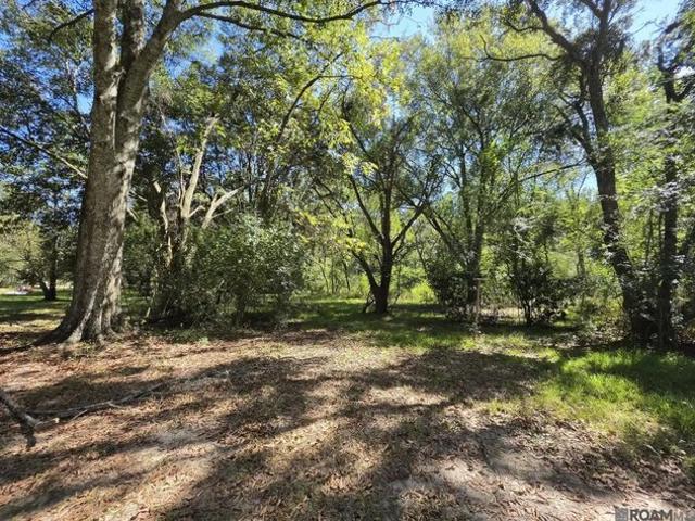 Land for sale in Slaughter, East Feliciana Parish
