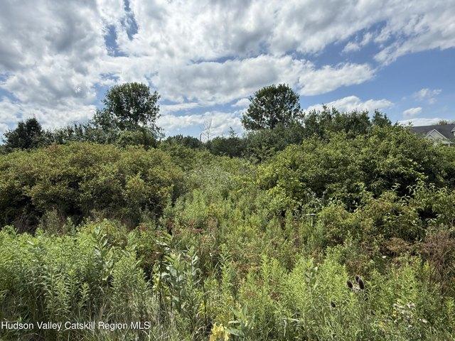 Land for sale in Athens, New York