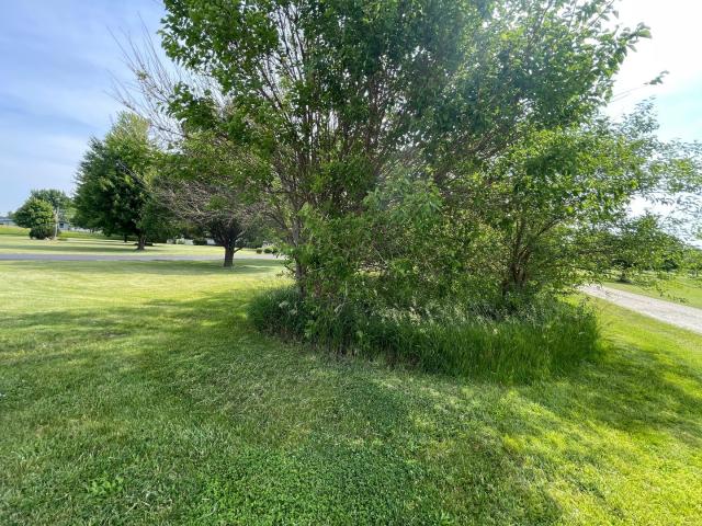 Land for sale in Seneca, Illinois