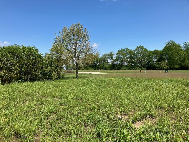 Land for sale in Urbana, Illinois