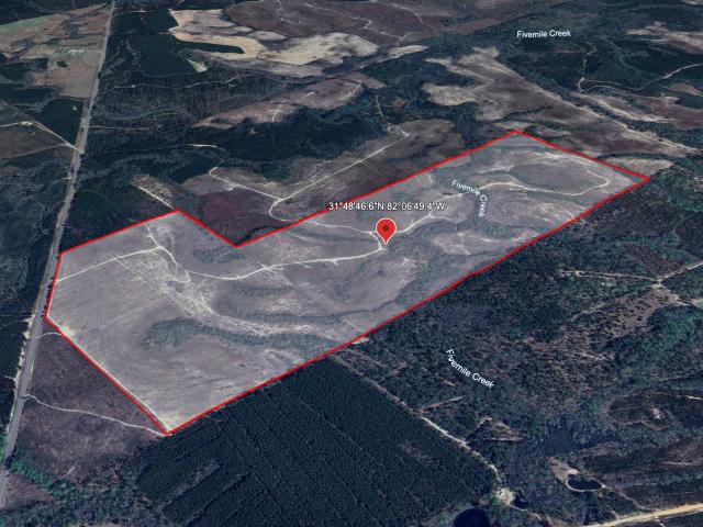 Land for sale in Surrency, Georgia
