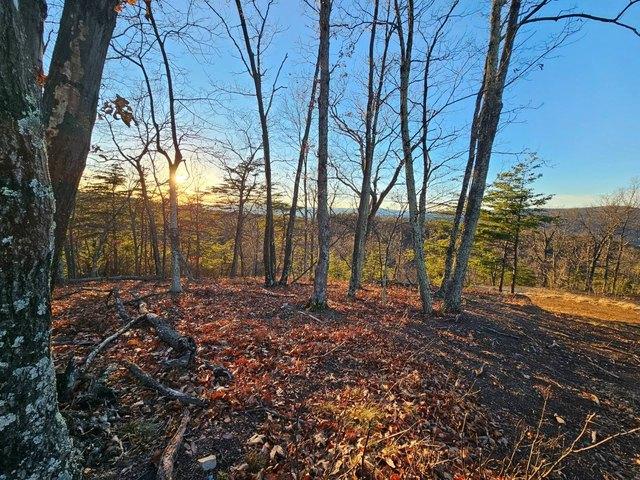 Land for sale in Hardy, West Virginia