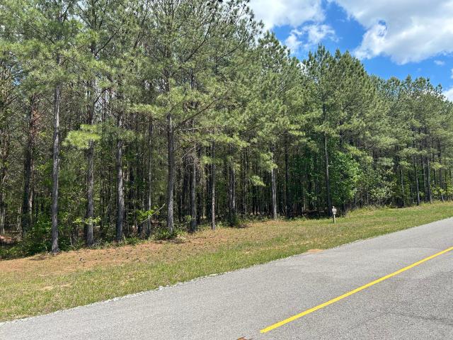 Land for sale in Tennessee