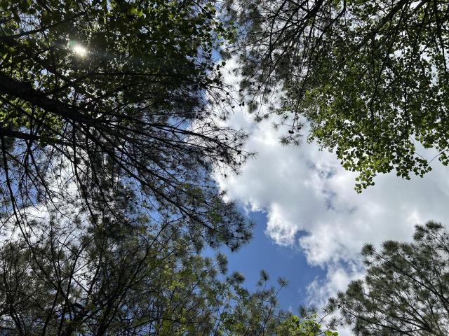 Land for sale in Tennessee