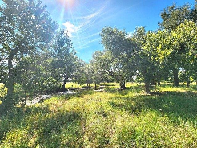 Farm for sale in Cherokee, Texas