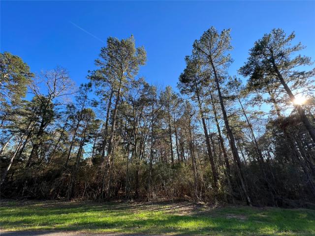 Land for sale in Magnolia, Texas