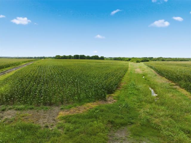 Land for sale in Malone, Texas