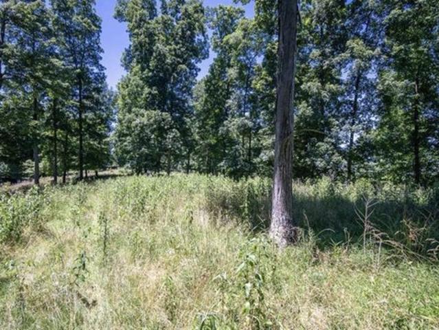 Land for sale in Flatwoods, Braxton County