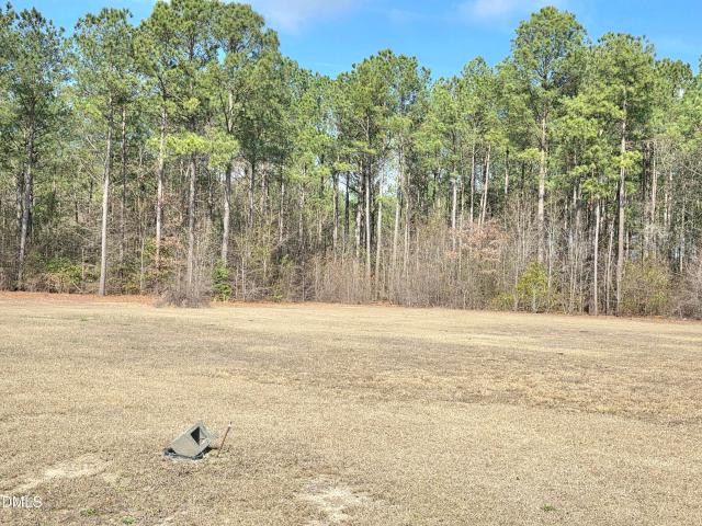 Land for sale in Dunn, Johnston County
