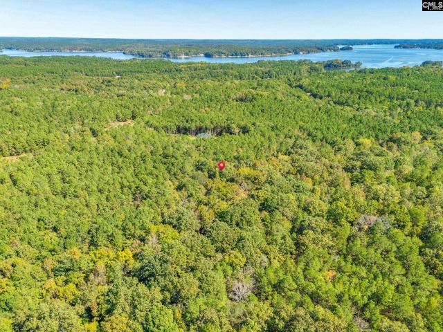 Land for sale in Ridgeway, South Carolina