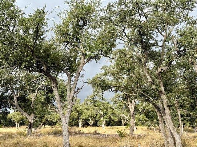 Farm for sale in Doss, Texas