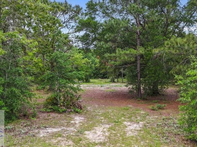 Land for sale in Jesup, Georgia