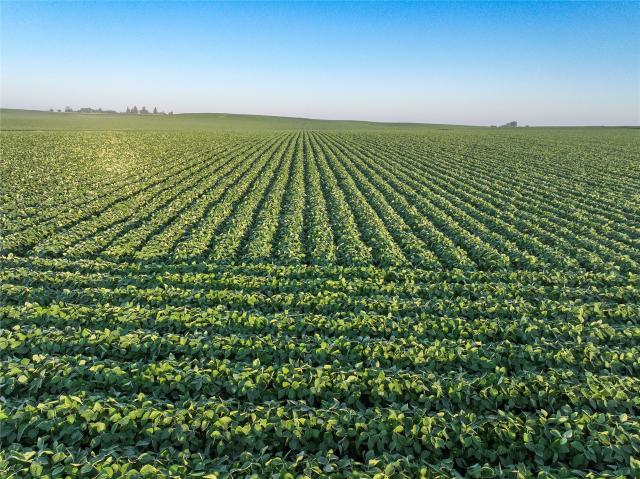 Land for sale in Aplington, Iowa
