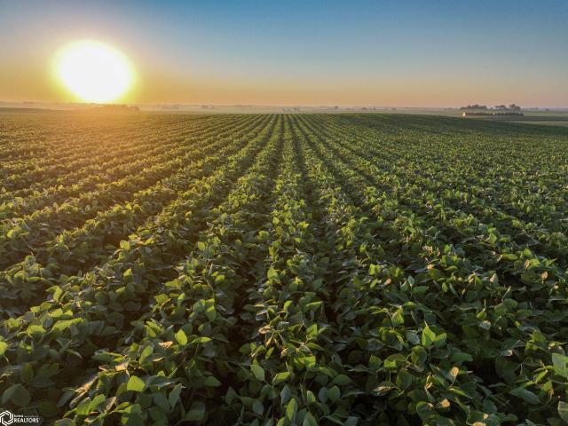 Farm for sale in Aplington, Iowa