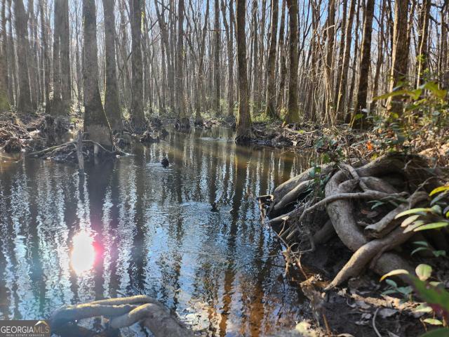 Land for sale in Milledgeville, Baldwin County