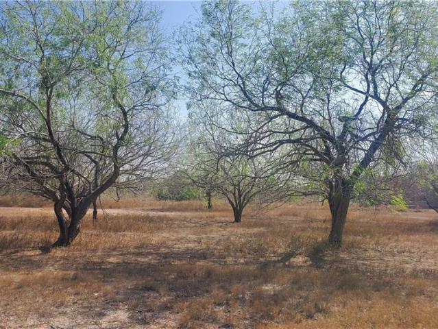 Land for sale in Cameron, Texas