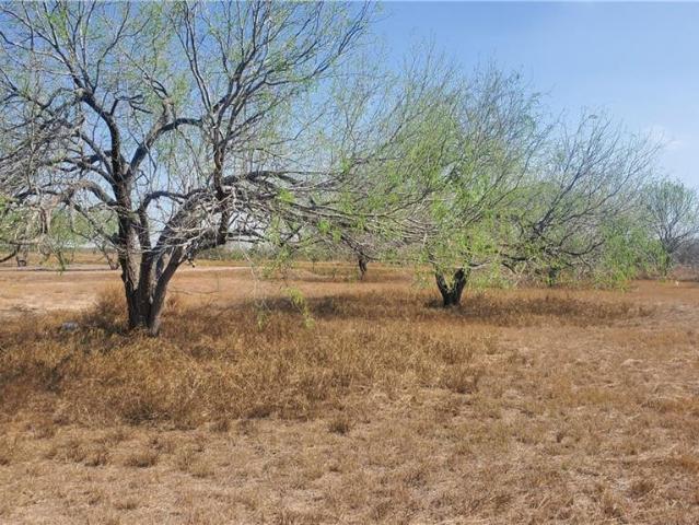 Land for sale in Cameron, Texas