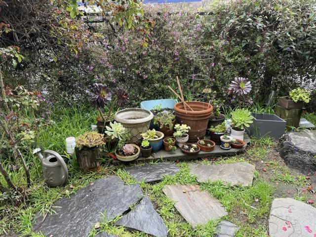 Apartment for rent in Berkeley, California