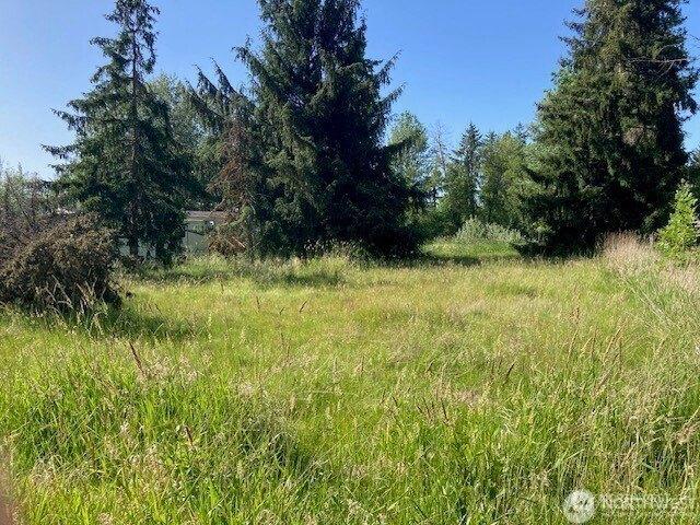 Land for sale in Thurston, Washington