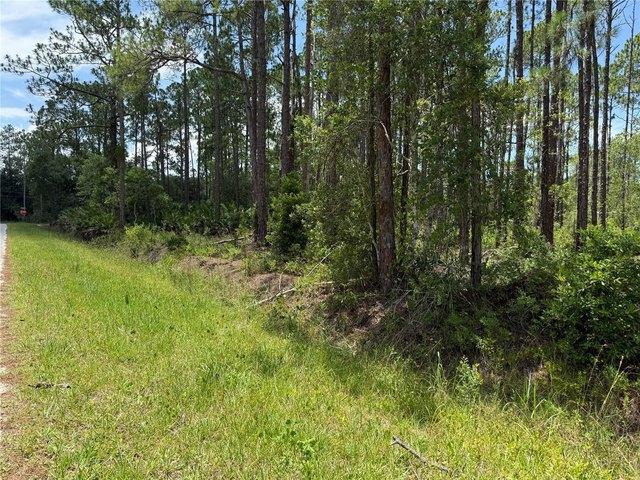 Land for sale in Bunnell, Florida