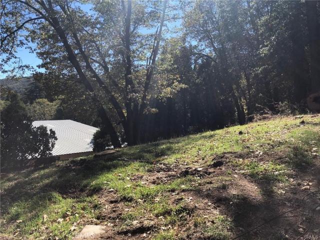 Land for sale in Cedar Glen