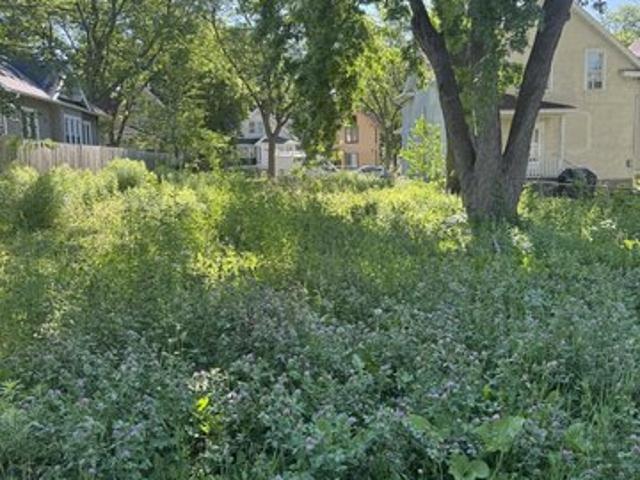Land for sale in Harrison, Minneapolis