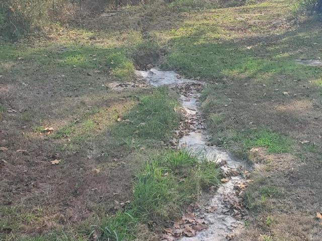 House for sale in Theodosia, Ozark County