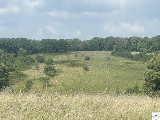 Land for sale in Cole Camp, Missouri