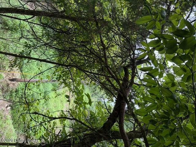 Land for sale in Kentucky