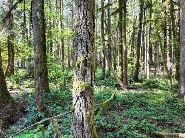 House for sale in Deming, Washington