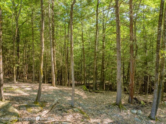 Land for sale in Olive, New York