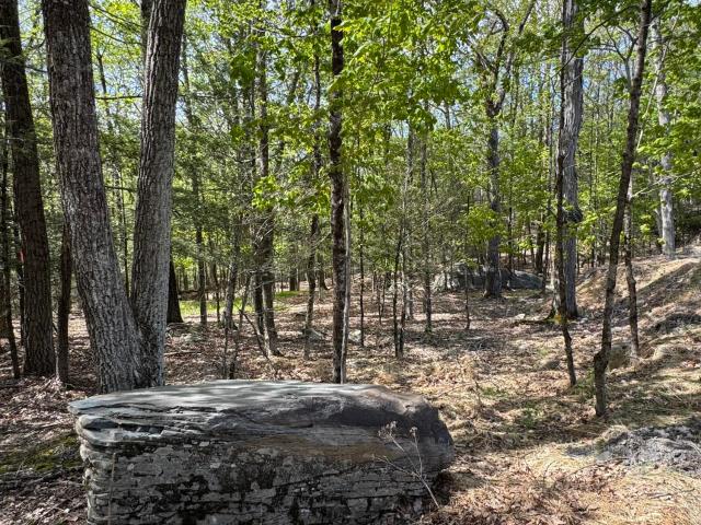 Land for sale in Olive, New York