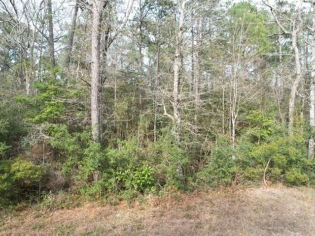 Land for sale in Newton, Texas