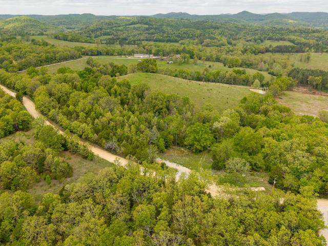 Land for sale in Gainesville, Missouri