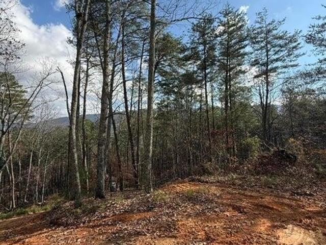 Land for sale in Tennessee