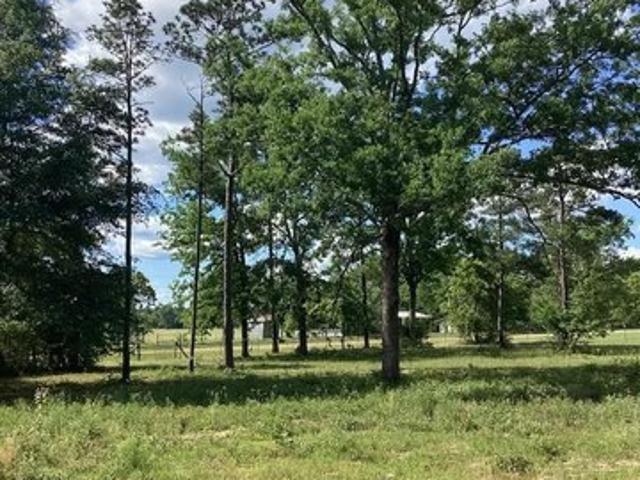 Land for sale in Talbot, Georgia