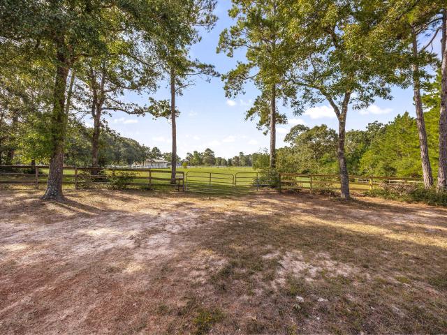Land for sale in Magnolia, Texas