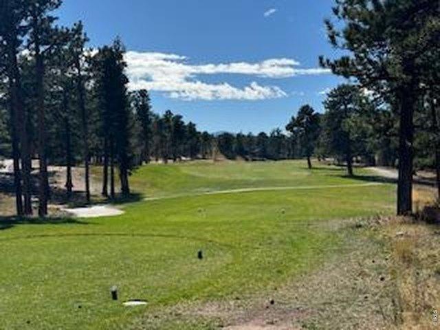 Land for sale in Red Feather Lakes, Colorado