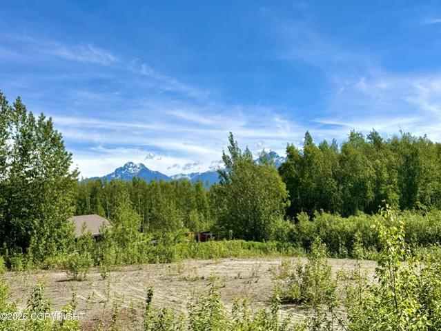 Land for sale in Wasilla