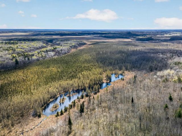 Land for sale in Minnesota