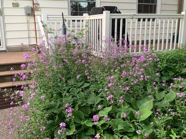 House for sale in Steele, Minnesota