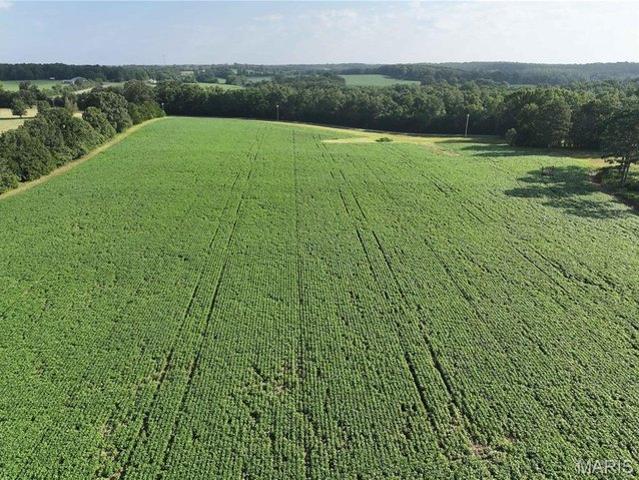 Farm for sale in Marquand, Missouri